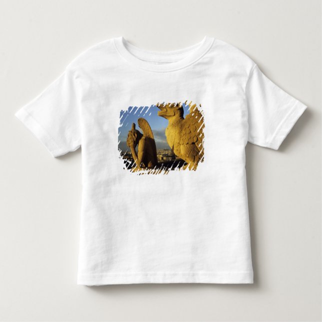 Camiseta Infantil Catedral de Chimera, re-Dame, Paris, França (Frente)