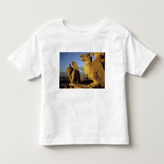 Camiseta Infantil Catedral de Chimera, re-Dame, Paris, França (Frente)