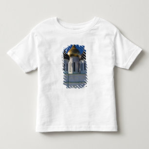 Camiseta Infantil Catedral de Pskov Kremlin e Trindade