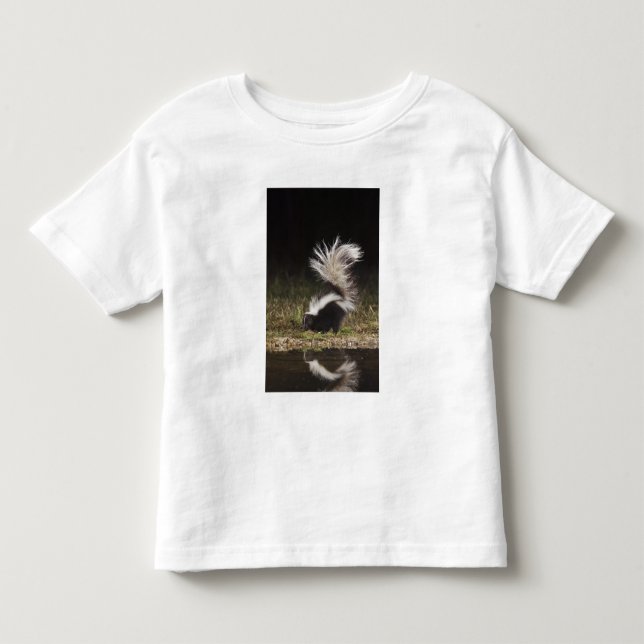 Camiseta Infantil Catingueira, Mephitis mephitis (Frente)