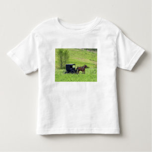 Camiseta Infantil Cavalo Amish e charrete perto de Berlim, Ohio.
