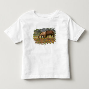 Camiseta Infantil Cavalo Quarto de Milha em campo de flores silvestr