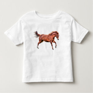 Camiseta Infantil Cavalo Vermelho Espirituado Correndo Canterna Brin