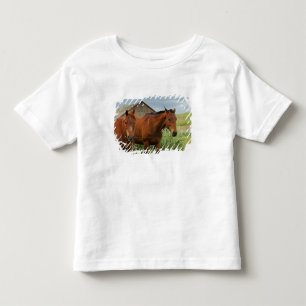 Camiseta Infantil Cavalos da visão em um campo no Palouse 3