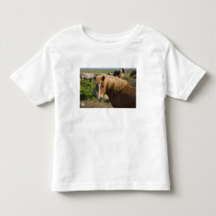 Camiseta Infantil Cavalos islandeses no nordeste da Islândia.