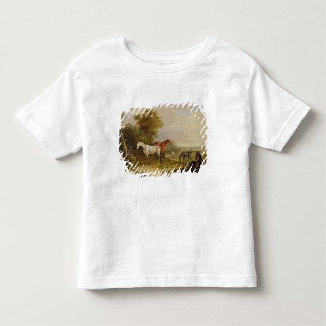 Camiseta Infantil Cavalos que pastam: Um garanhão cinzento que pasta (Frente)