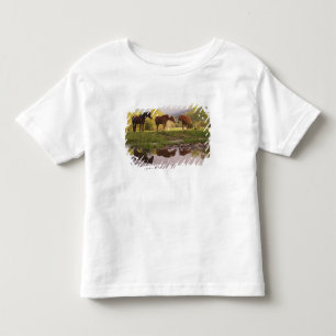 Camiseta Infantil Cavalos refletidos em um pequeno riacho, Cades Cov