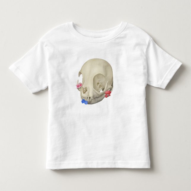 Camiseta Infantil Caveira De Gato Com Flora (Frente)