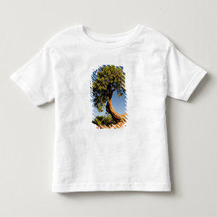 Camiseta Infantil Cedro Solitário, Parque Estadual Deadhorse Point,