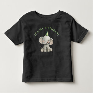 Camiseta Infantil Celebração de aniversário de uma criança elefante 