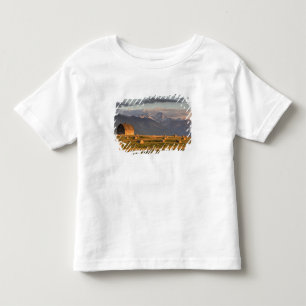 Camiseta Infantil Celeiro antigo enquadrado por fardos de feno e dra