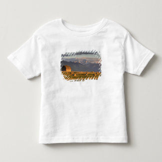 Camiseta Infantil Celeiro antigo enquadrado por fardos de feno e dra