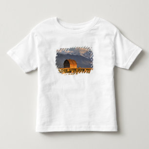 Camiseta Infantil Celeiro antigo enquadrado por fardos de feno e dra