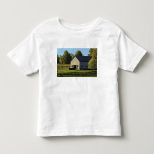 Camiseta Infantil Celeiro em uma fazenda de cavalos puro-sangue ao n