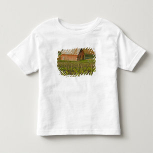 Camiseta Infantil Celeiro vermelho antigo na borda do vinhedo Zinfan