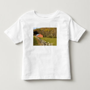 Camiseta Infantil Celeiro vermelho e fileira de cercas ao longo da B