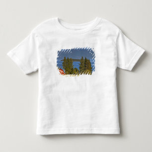 Camiseta Infantil Celeiro vermelho fica ao longo do pitoresco Flathe