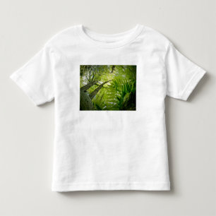 Camiseta Infantil Cena da floresta no Parque Nacional Acadia, Maine.