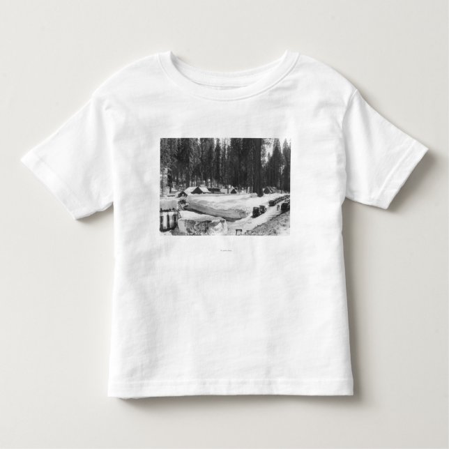 Camiseta Infantil Cena da neve do parque nacional de sequóia na vila (Frente)
