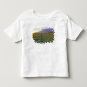 Camiseta Infantil Cercado de Arame Farpado no nordeste de Montana