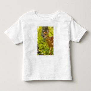 Camiseta Infantil Cervo de cauda branca jovem em Whitefish, Montana,
