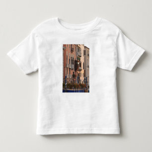 Camiseta Infantil cestas de flores e detalhes ornamentados do Paláci