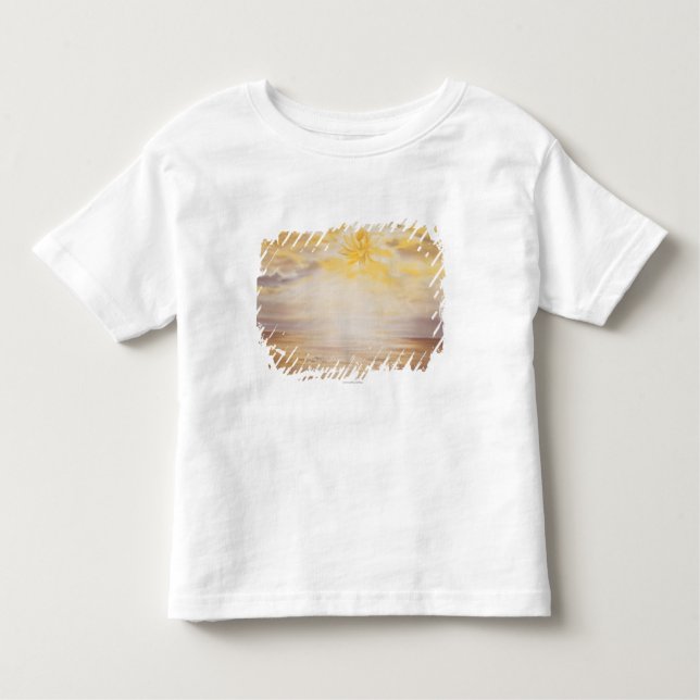 Camiseta Infantil Céu Lotus (Frente)