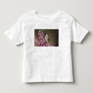 Camiseta Infantil Chapim-de-crista-preta, Baeolophus
