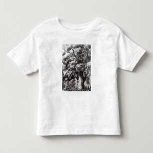 Camiseta Infantil Charles II escondido no carvalho