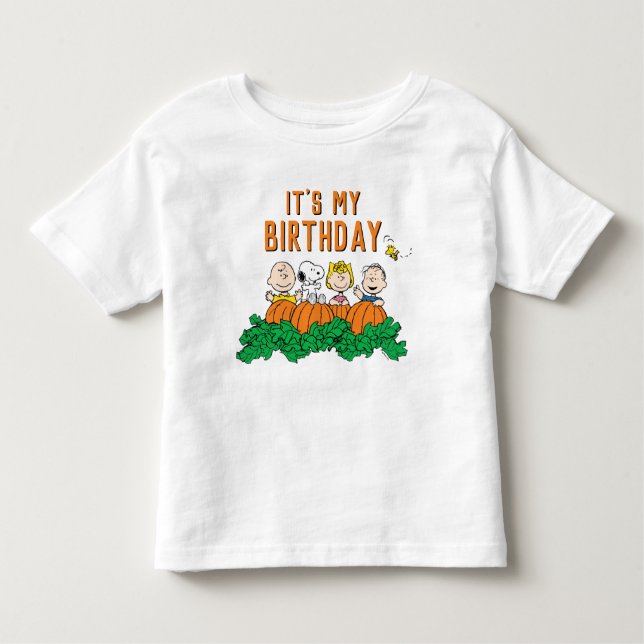 Camiseta Infantil Charlie Brown e Gang Pumpkin Birthday (Frente)