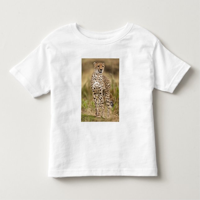 Camiseta Infantil Cheetah, Acinonyx jubatus, no Masai Mara (Frente)