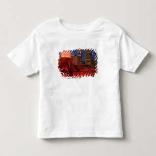 Camiseta Infantil Chicago, Illinois, Fonte Buckingham