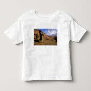 Camiseta Infantil Chile, Ilha de Páscoa. Encosta com Moai