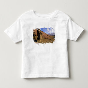 Camiseta Infantil Chile, Ilha de Páscoa. Encosta com Moai