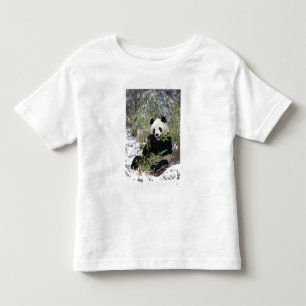 Camiseta Infantil China, Província de Sichuan. Giant Panda alimenta-