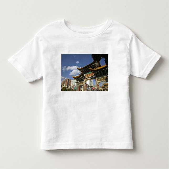 Camiseta Infantil CHINA, Província de Yunnan, Kunming. Arco Memorial (Frente)