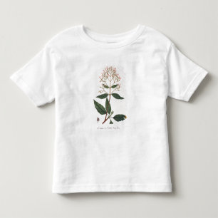 Camiseta Infantil Chinchona de "Phytographie Medicale" pelo Ro de