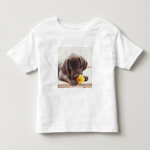 Camiseta Infantil Chocolate Labrador Com Pato De Brinquedo