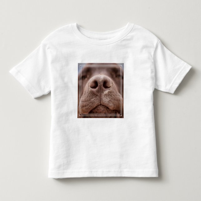 Camiseta Infantil Chocolate Labrador Nose Closeup (Frente)