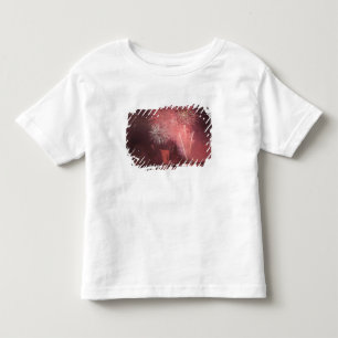 Camiseta Infantil Cidade de Quebec, Quebec, Canadá. Fogos de artifíc