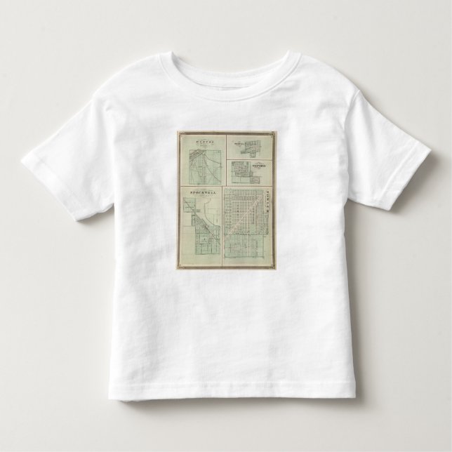 Camiseta Infantil Cidade incorporada do Fowler, Benton Co (Frente)