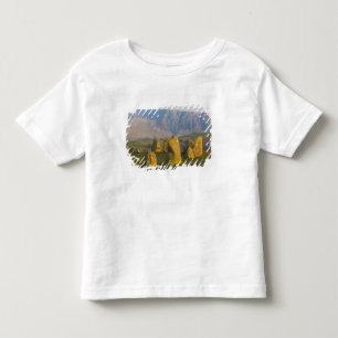 Camiseta Infantil Círculo de Pedras Castlerigg, Distrito dos Lagos,