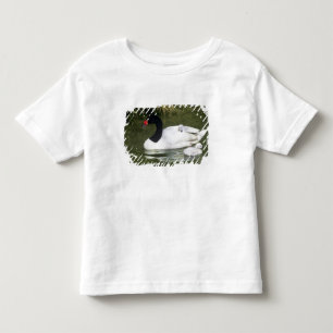 Camiseta Infantil Cisne de pescoço preto adulto e filhotes na água.