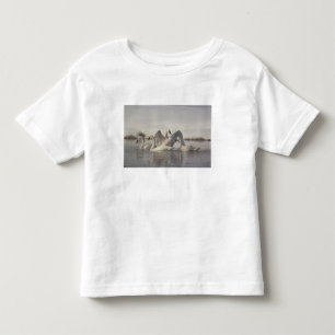 Camiseta Infantil Cisnes Trombeteiros no rio Madison no inverno