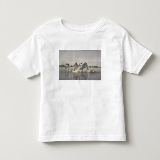 Camiseta Infantil Cisnes Trombeteiros no rio Madison no inverno (Frente)
