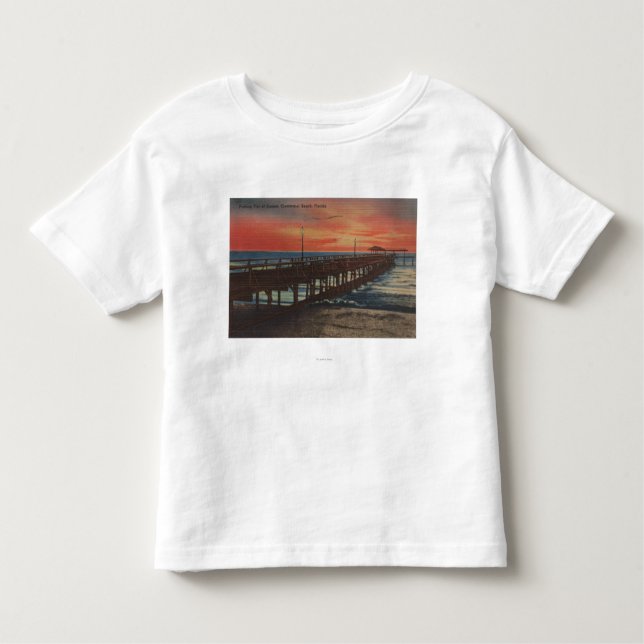 Camiseta Infantil Clearwater, Florida - opinião do por do sol da (Frente)