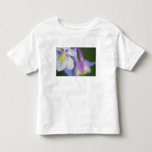Camiseta Infantil Close da flor Aquilégia do Colorado.