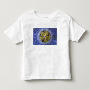 Camiseta Infantil Close-up da flor de maracujá com orvalho. Crédito