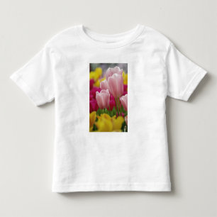 Camiseta Infantil Close-up da flor de tulipa, Jardins Kuekenhof,