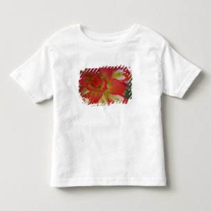 Camiseta Infantil Close-up de Indian Paint Brush perto de Gay Hill,